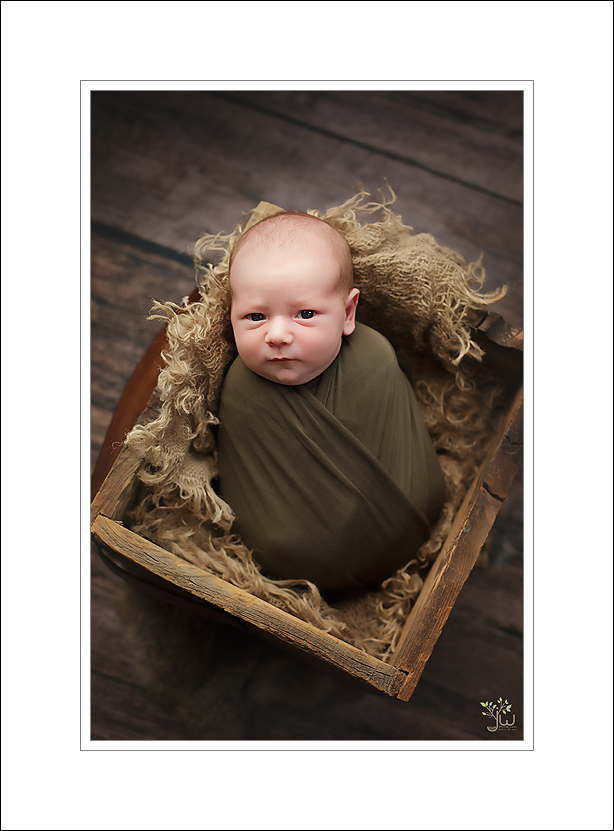 Eatonville newborn photography